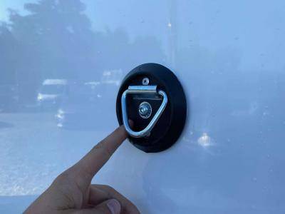 Van per Cavalli Opel Movano 2021 Nuovo