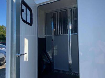 Van per Cavalli Opel Movano 2021 Nuovo