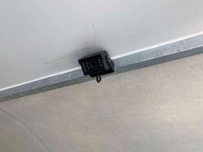 Van per Cavalli Opel Movano 2021 Nuovo