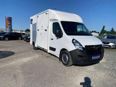 Van per Cavalli Opel Movano 2021 Nuovo