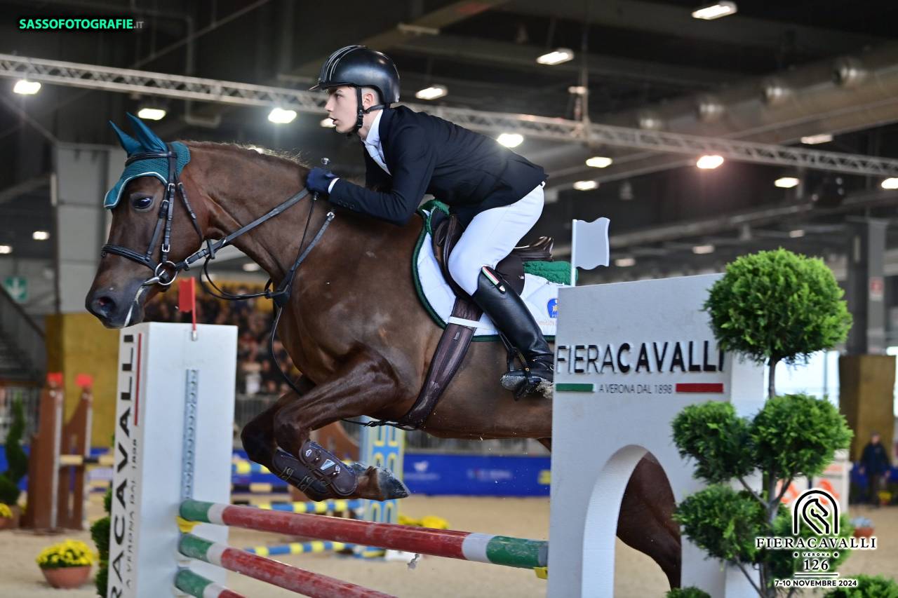 Pony francese del 2016