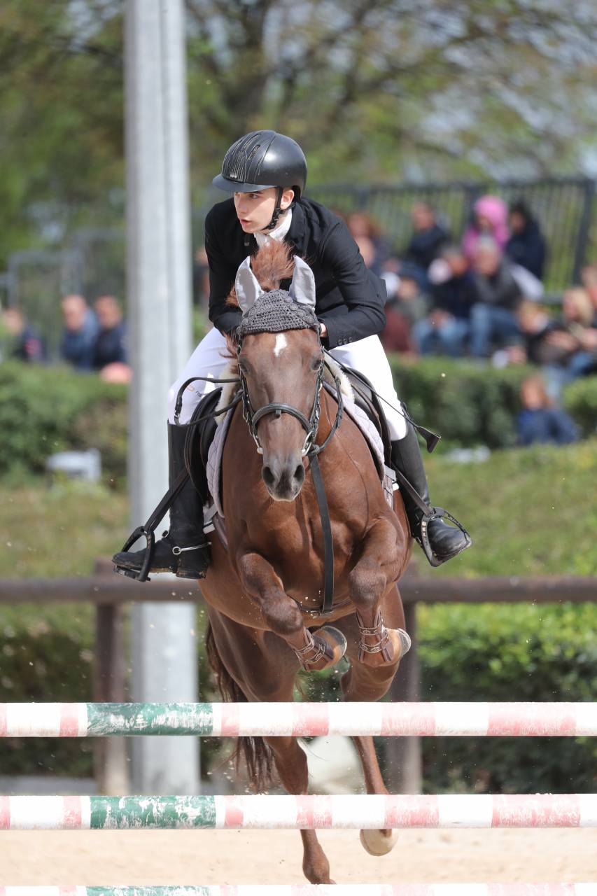 Pony francese del 2016