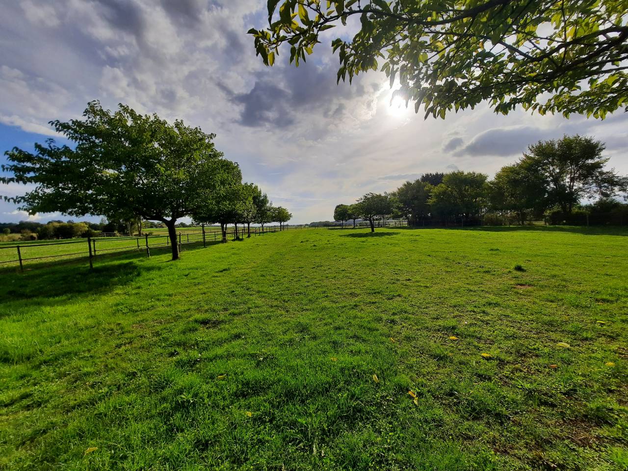 Proprietà equestre In vendita Charente-Maritime
