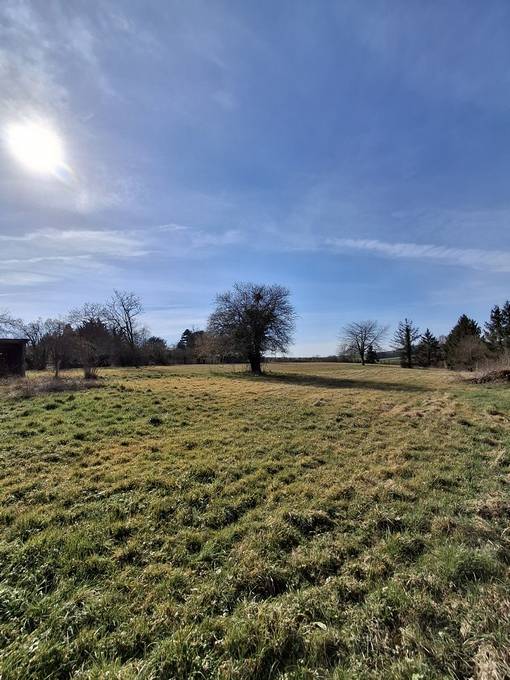 Proprietà equestre In vendita Yonne