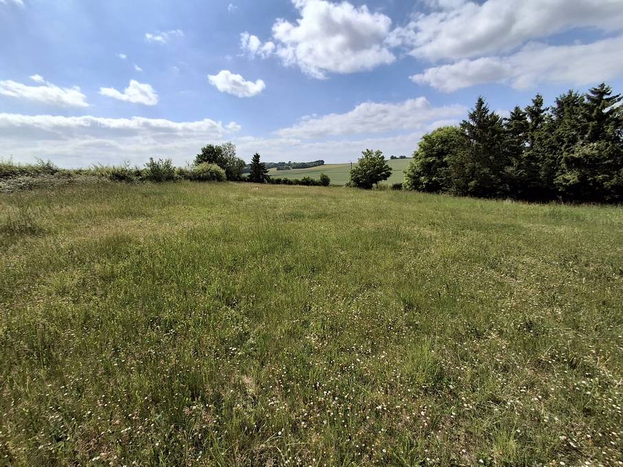 Proprietà equestre In vendita Yonne