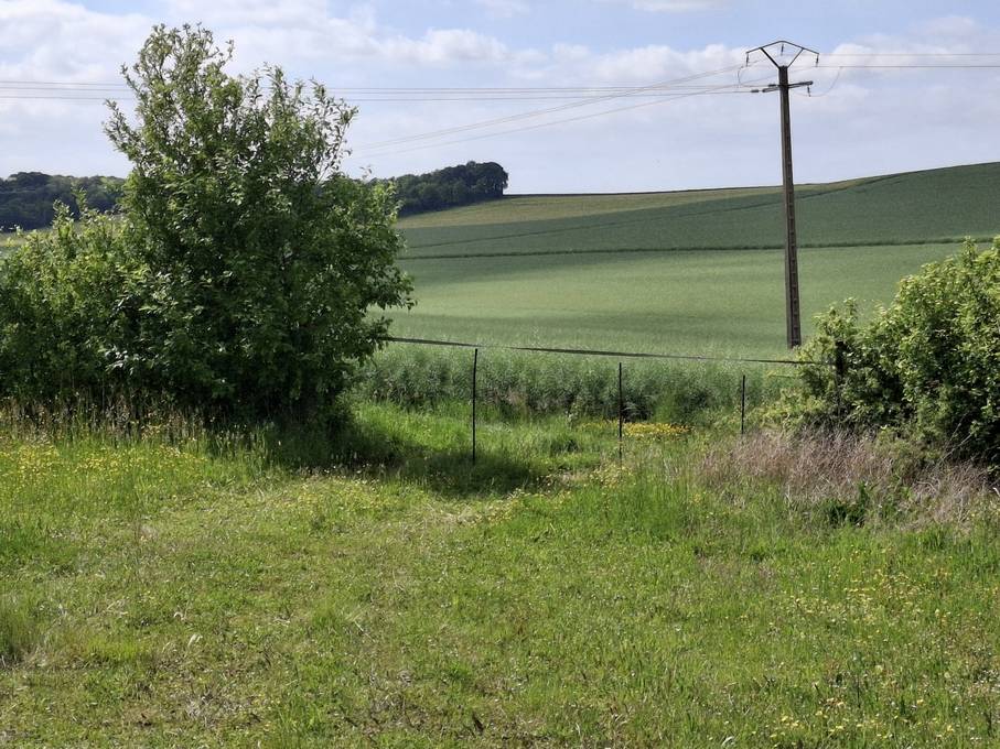 Proprietà equestre In vendita Yonne
