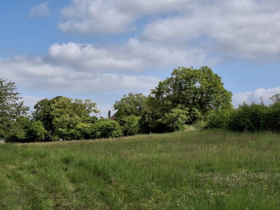 Proprietà equestre In vendita Yonne