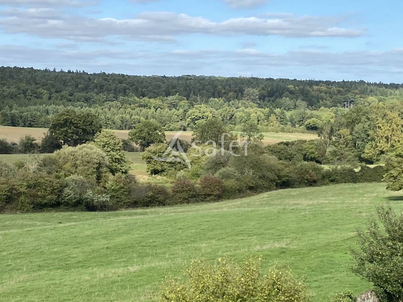 Azienda forestale In vendita Orne