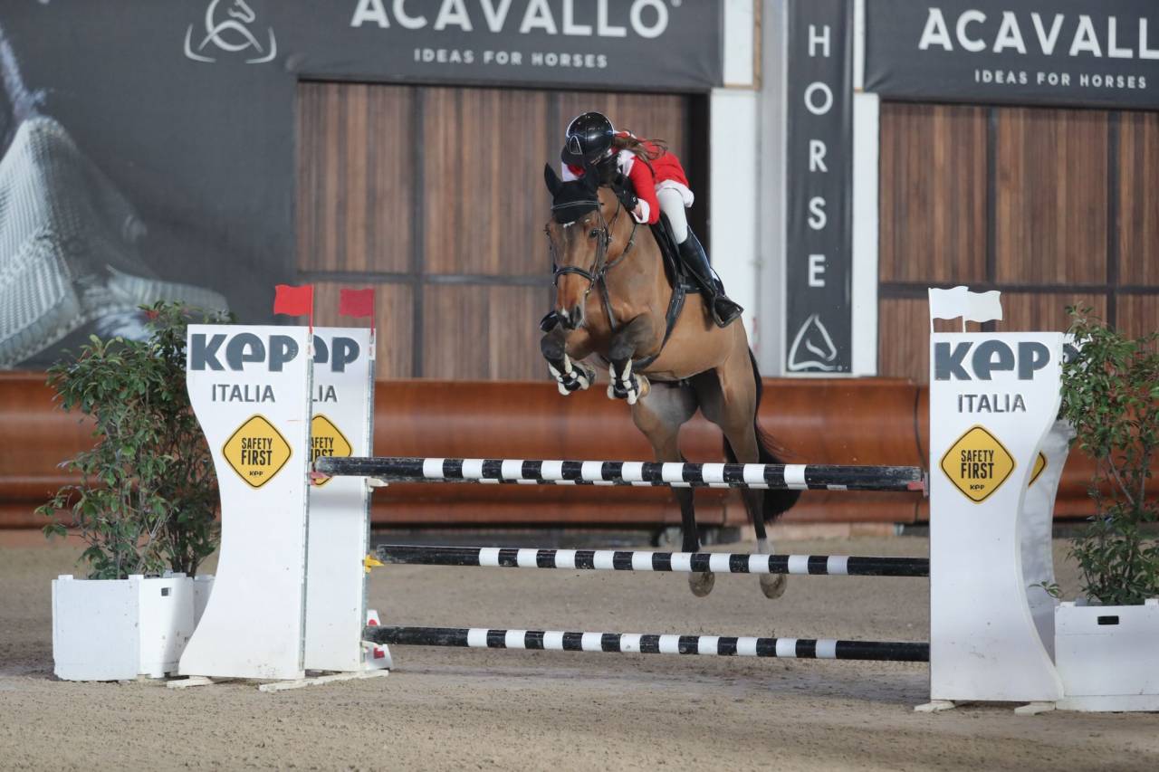 Cavalla da Salto “Hannelore C” – 13 anni – Pedigree 
