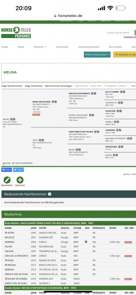 Castrone Zangersheide In vendita 2022 Nero ,  Emidor z