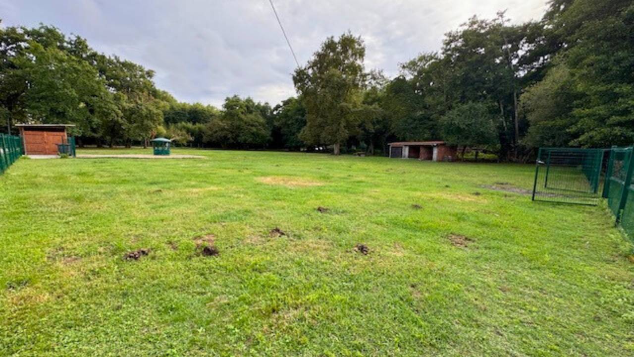 Campo In vendita Gironde