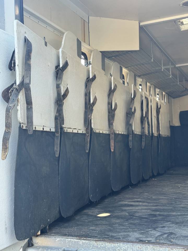 Camion per Cavalli Scania 94XS 2000 Occasione