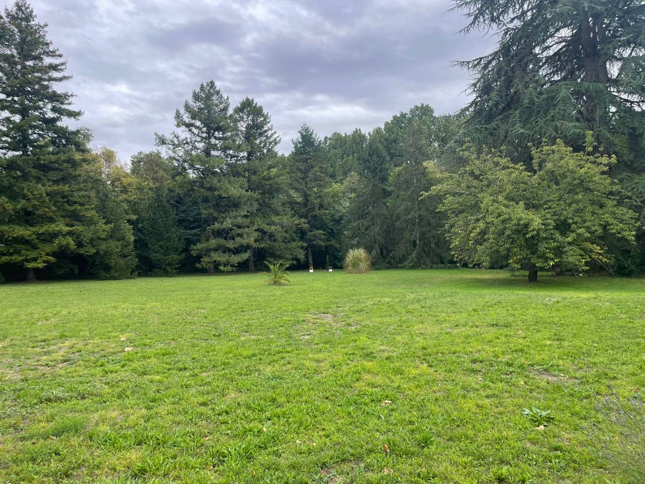 Proprietà equestre In vendita Charente