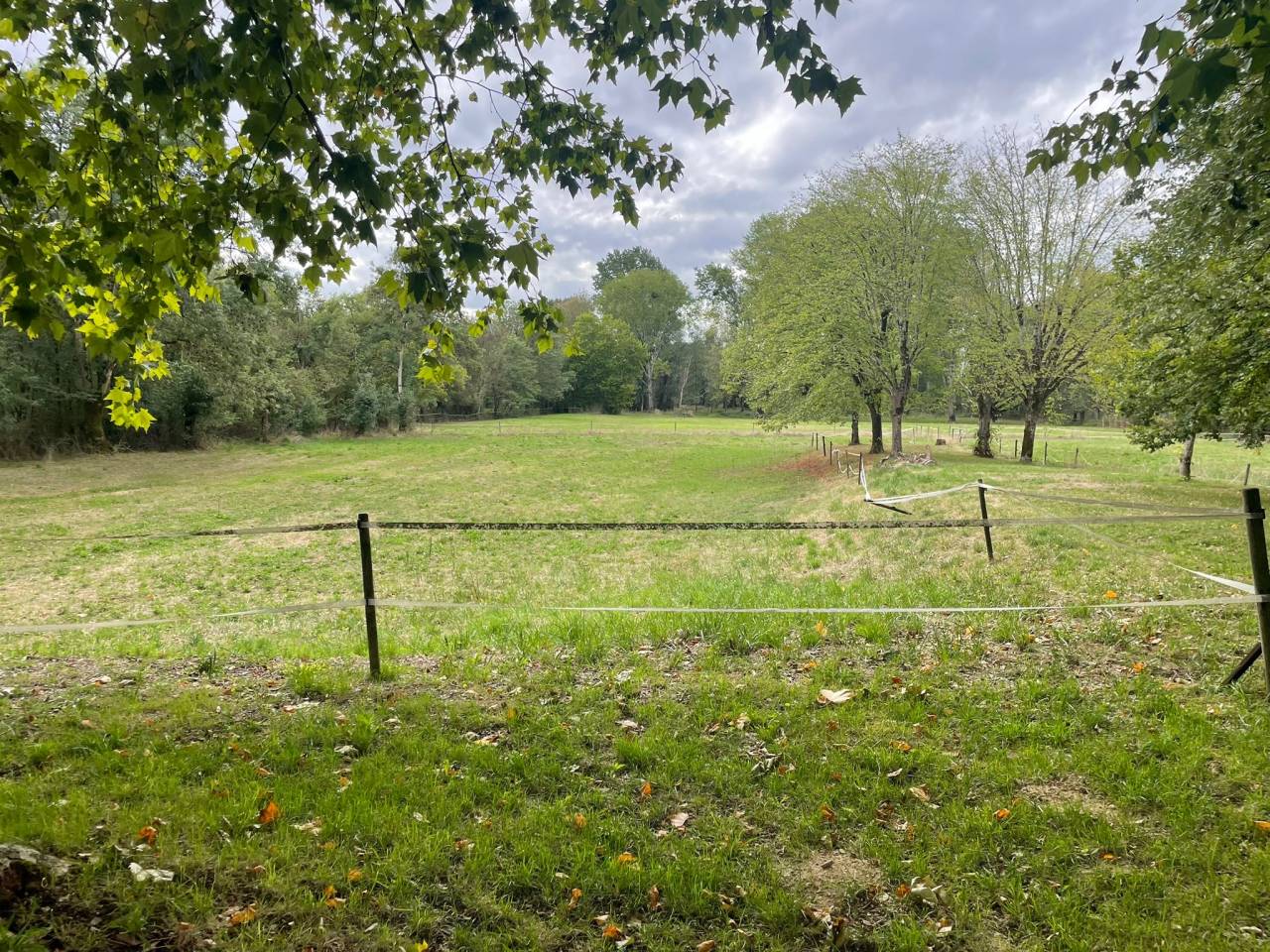 Proprietà equestre In vendita Charente