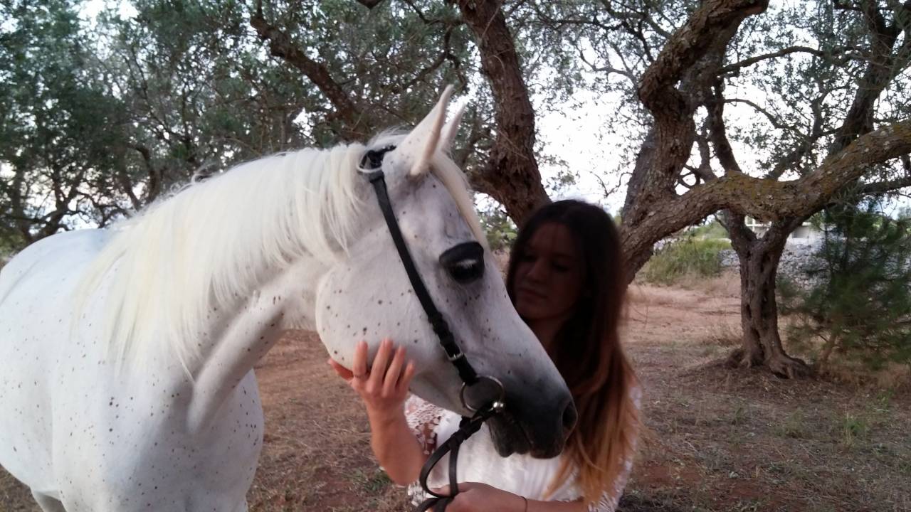 Fattrice Purosangue Arabo