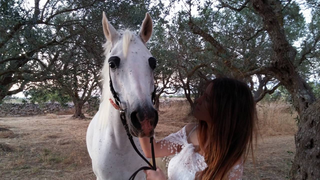 Fattrice Purosangue Arabo