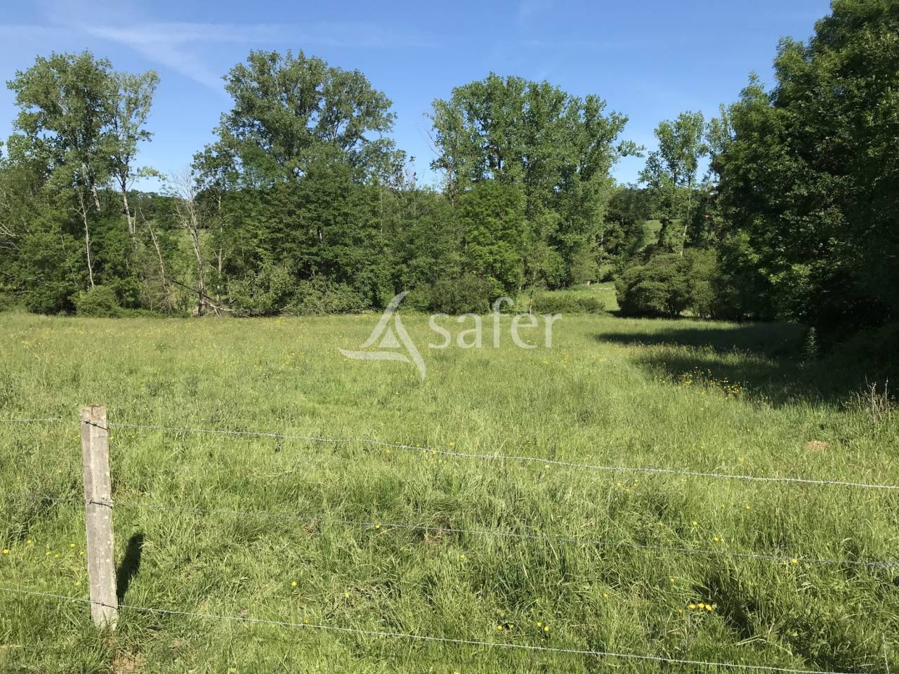 Azienda agricola In vendita Charente