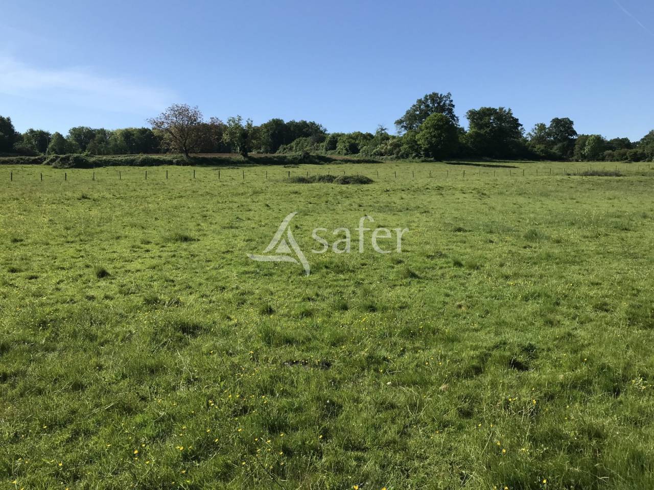 Azienda agricola In vendita Charente