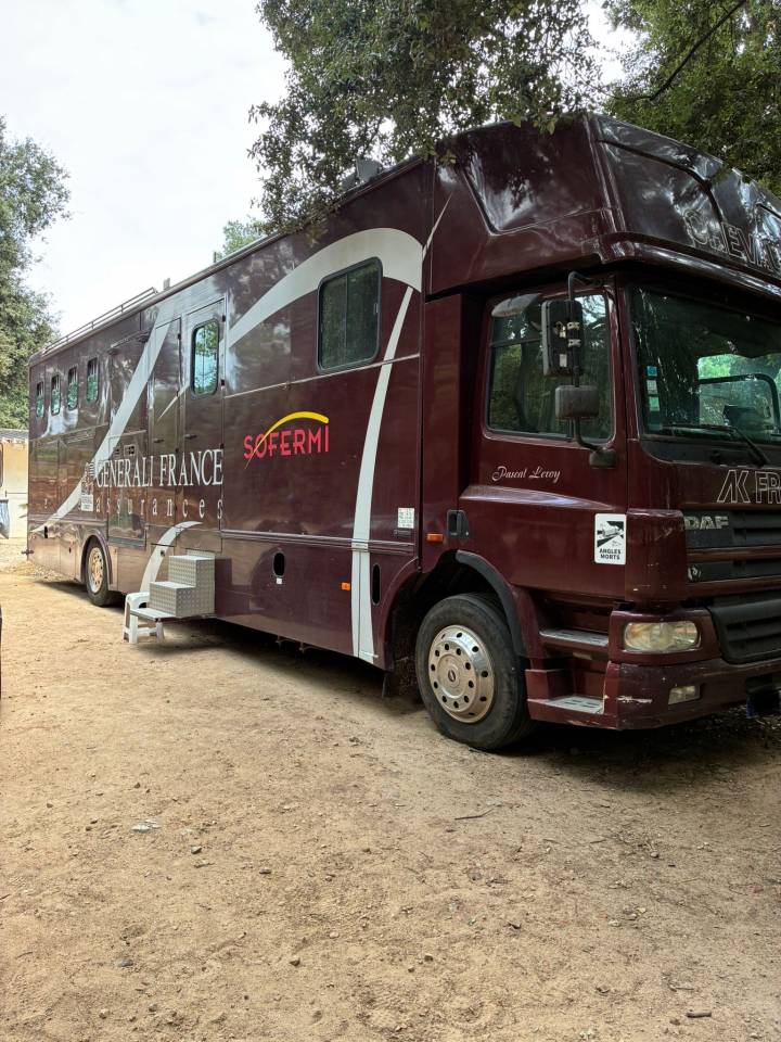 Camion per Cavalli Daf  2003 Occasione
