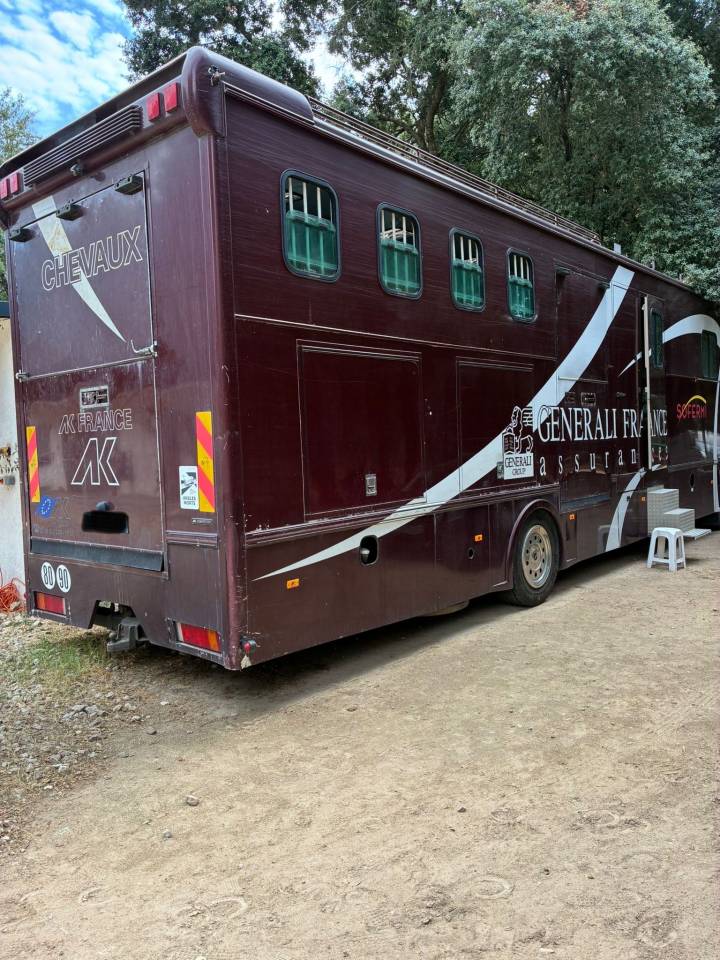 Camion per Cavalli Daf  2003 Occasione