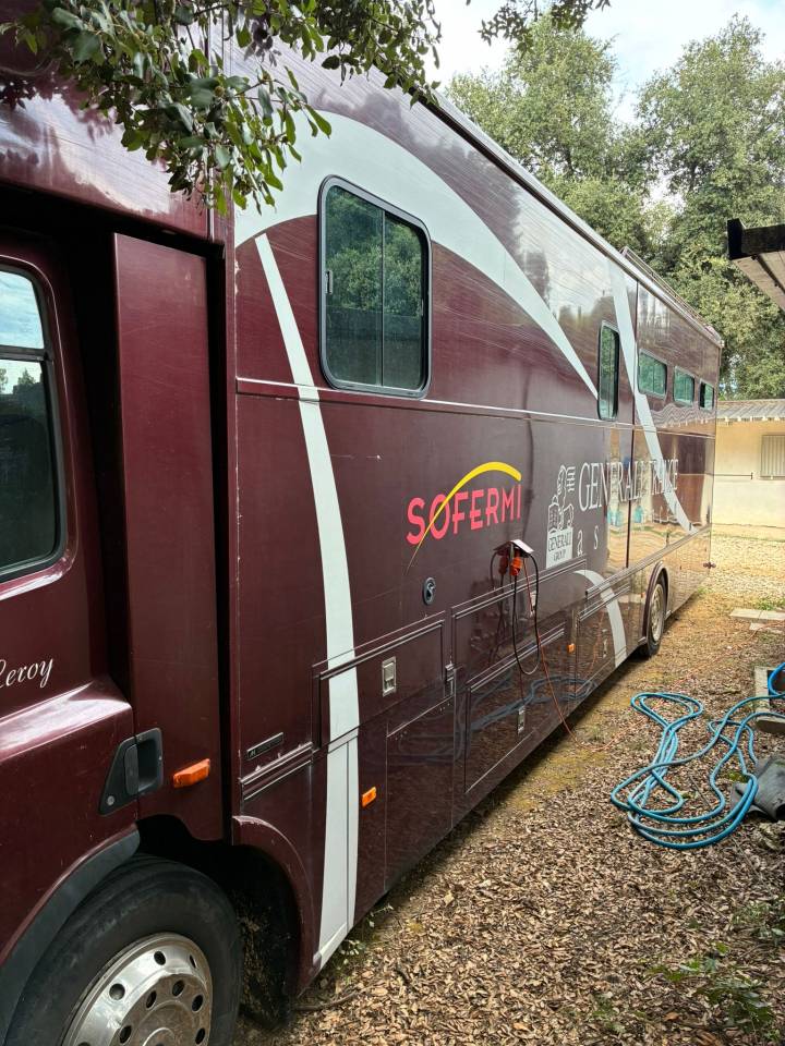 Camion per Cavalli Daf  2003 Occasione