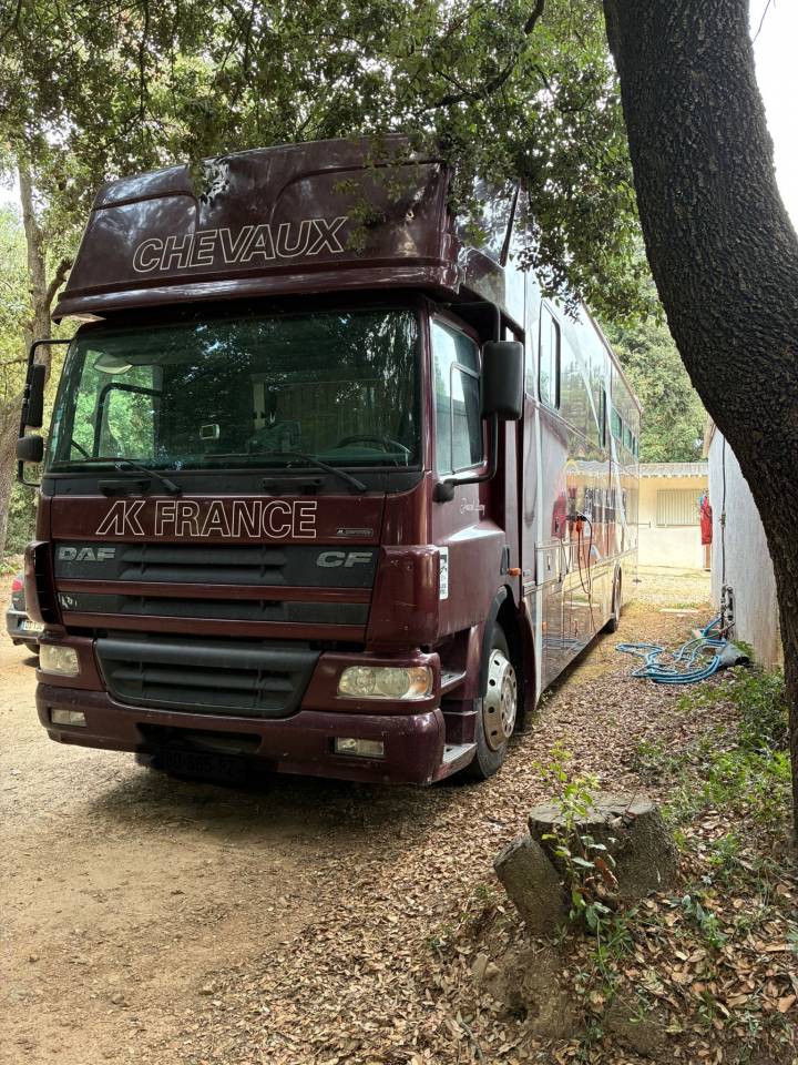 Camion per Cavalli Daf  2003 Occasione