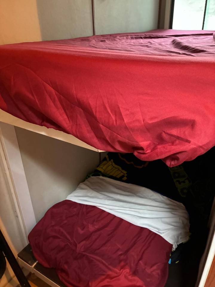 Camion per Cavalli Daf  2003 Occasione