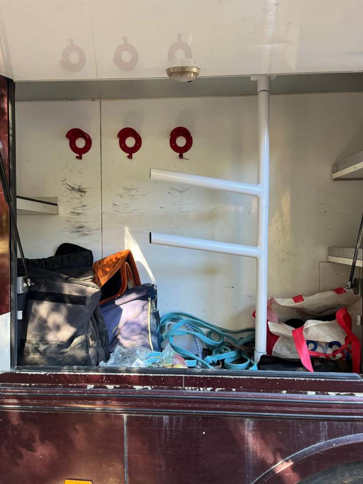 Camion per Cavalli Daf  2003 Occasione