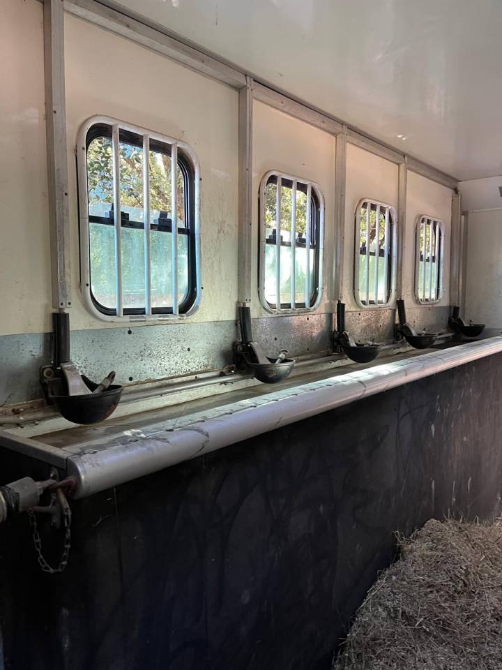 Camion per Cavalli Daf  2003 Occasione