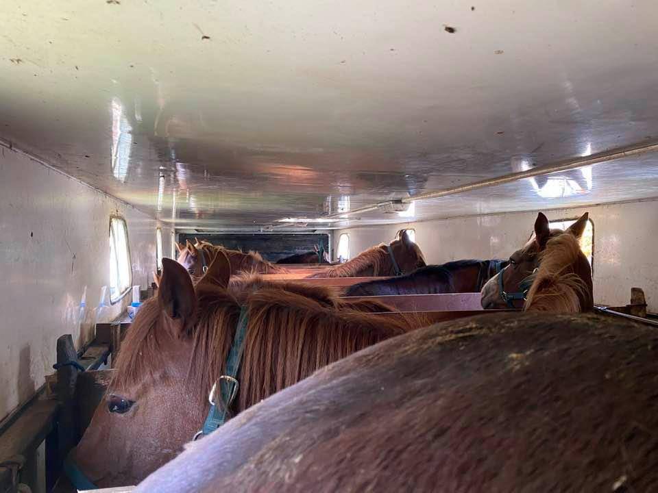 Semirimorchio Cavalli Iveco IVECO 1994 Occasione