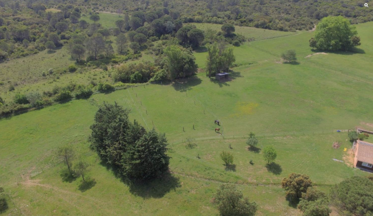 Proprietà equestre In vendita Gard