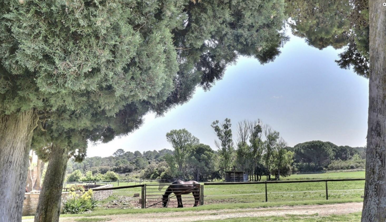 Proprietà equestre In vendita Gard