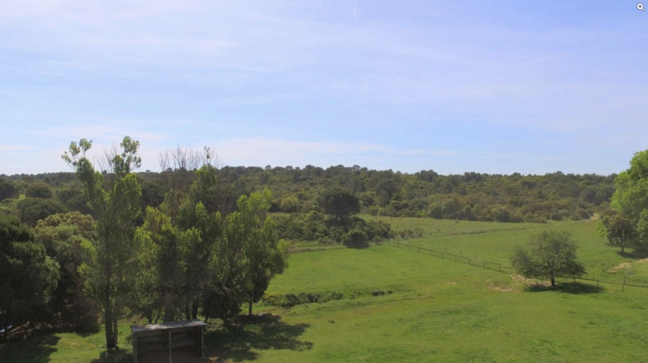 Proprietà equestre In vendita Gard