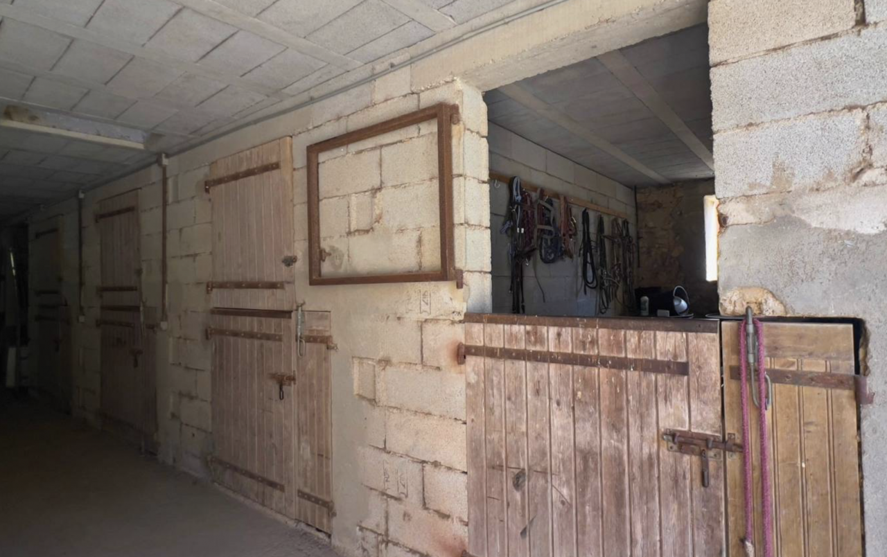 Proprietà equestre In vendita Gard