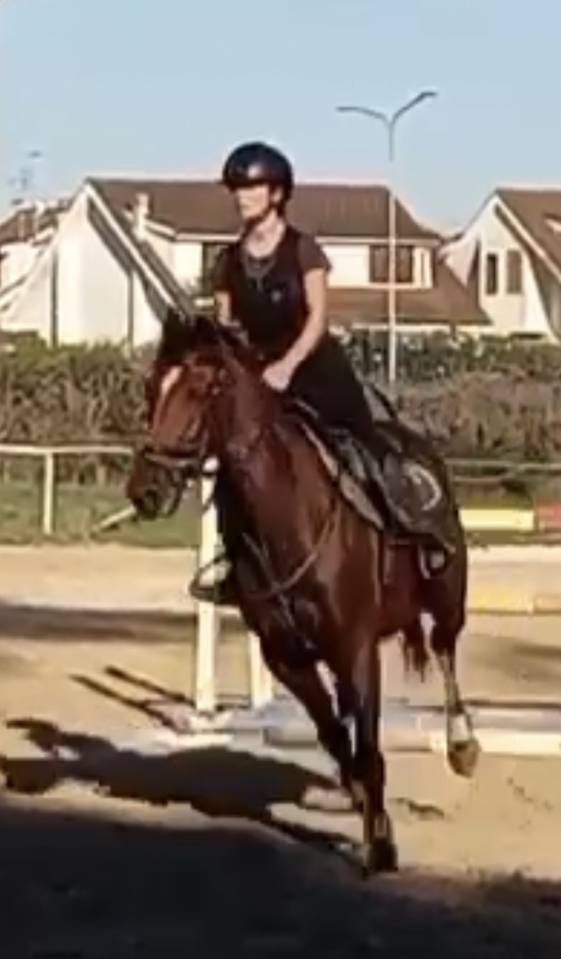 MORGAN Bellissima e bravissima nel salto e non