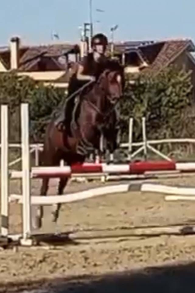 MORGAN Bellissima e bravissima nel salto e non