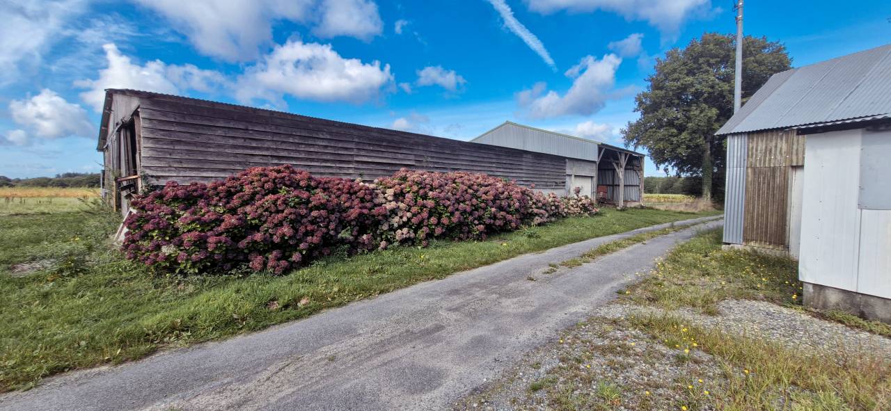 Proprietà rurale In vendita Ile-et-Vilaine