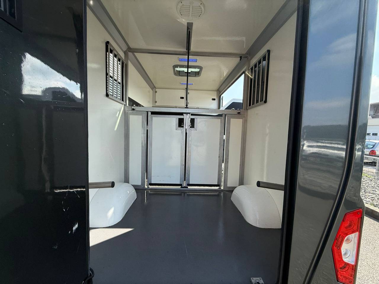 Van per Cavalli STX MOVANO 165CH 2018 Occasione