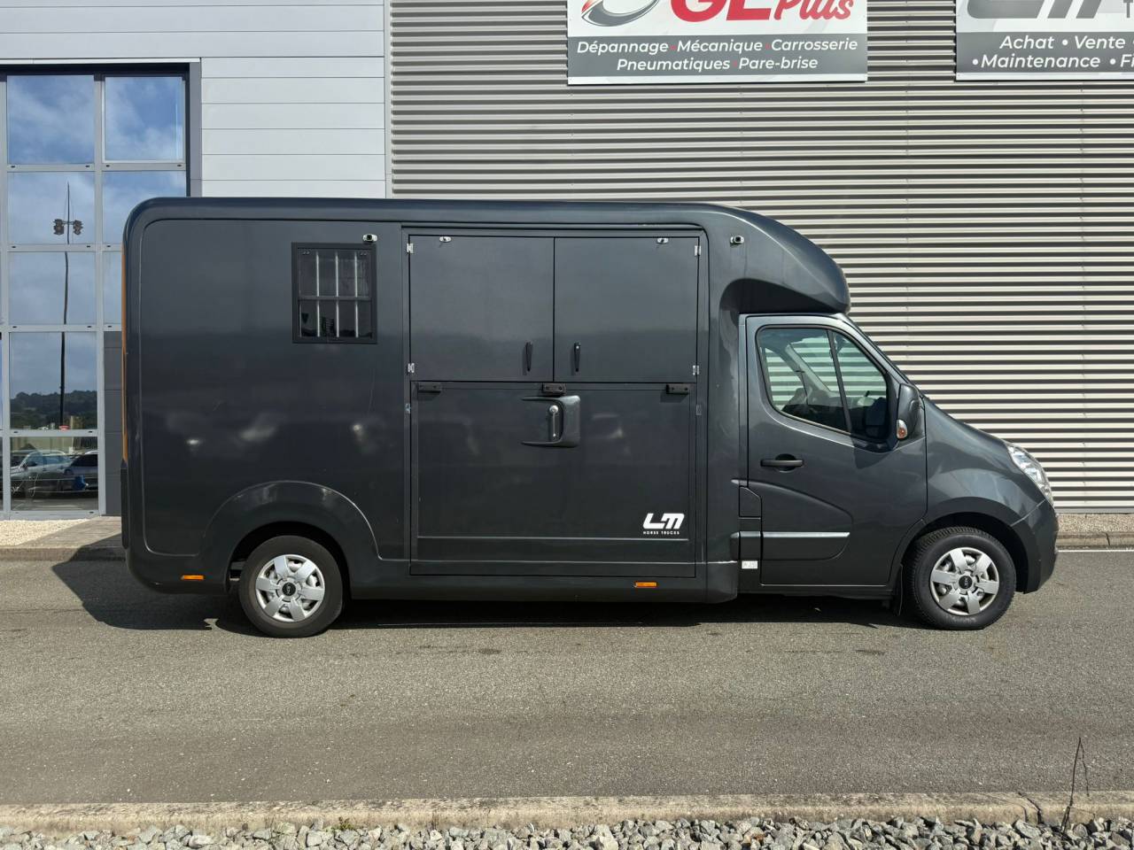 Van per Cavalli STX MOVANO 165CH 2018 Occasione