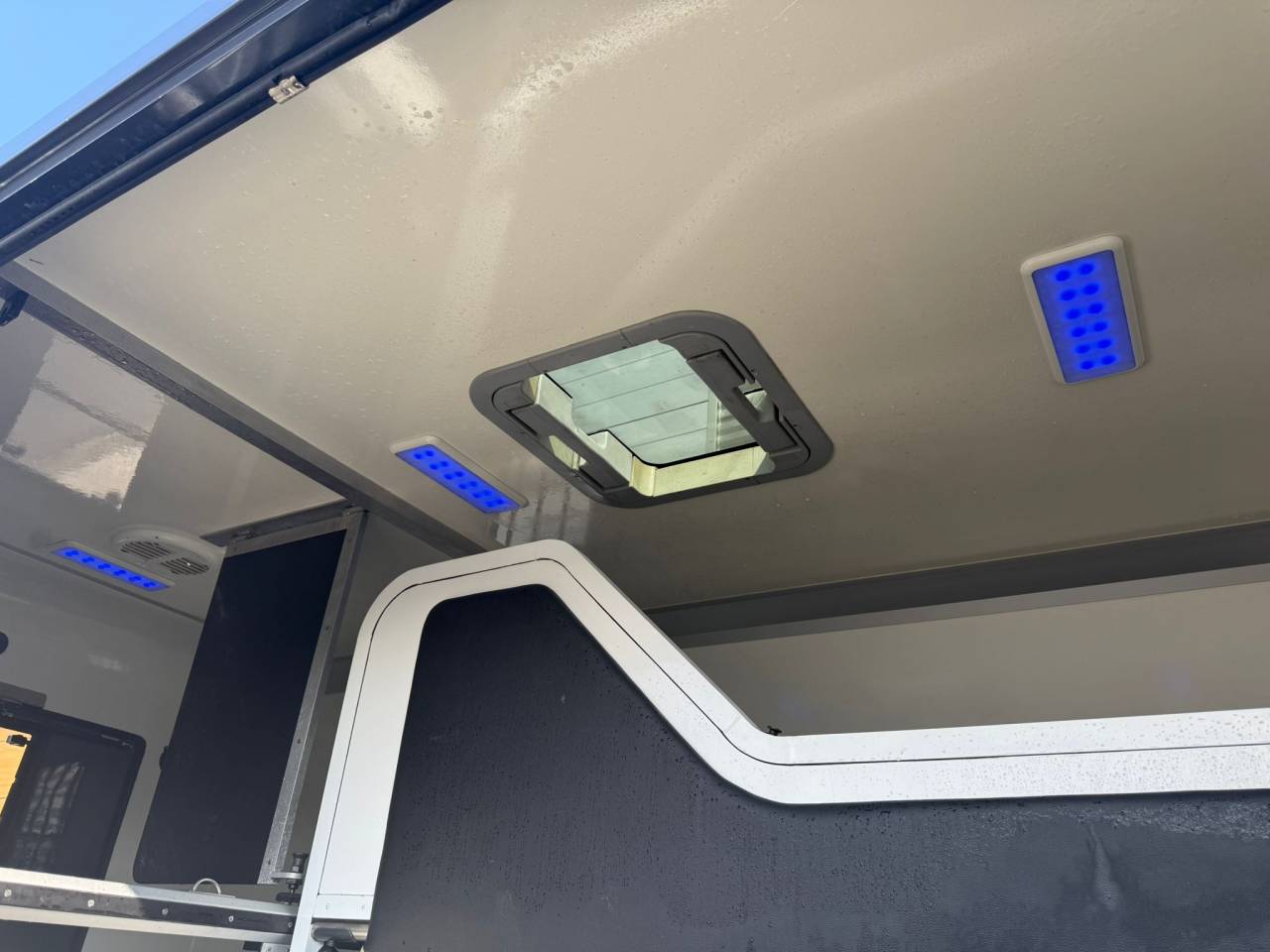 Van per Cavalli STX MOVANO 165CH 2018 Occasione