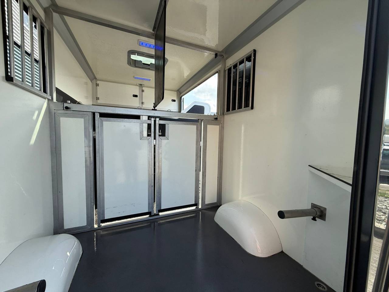 Van per Cavalli STX MOVANO 165CH 2018 Occasione