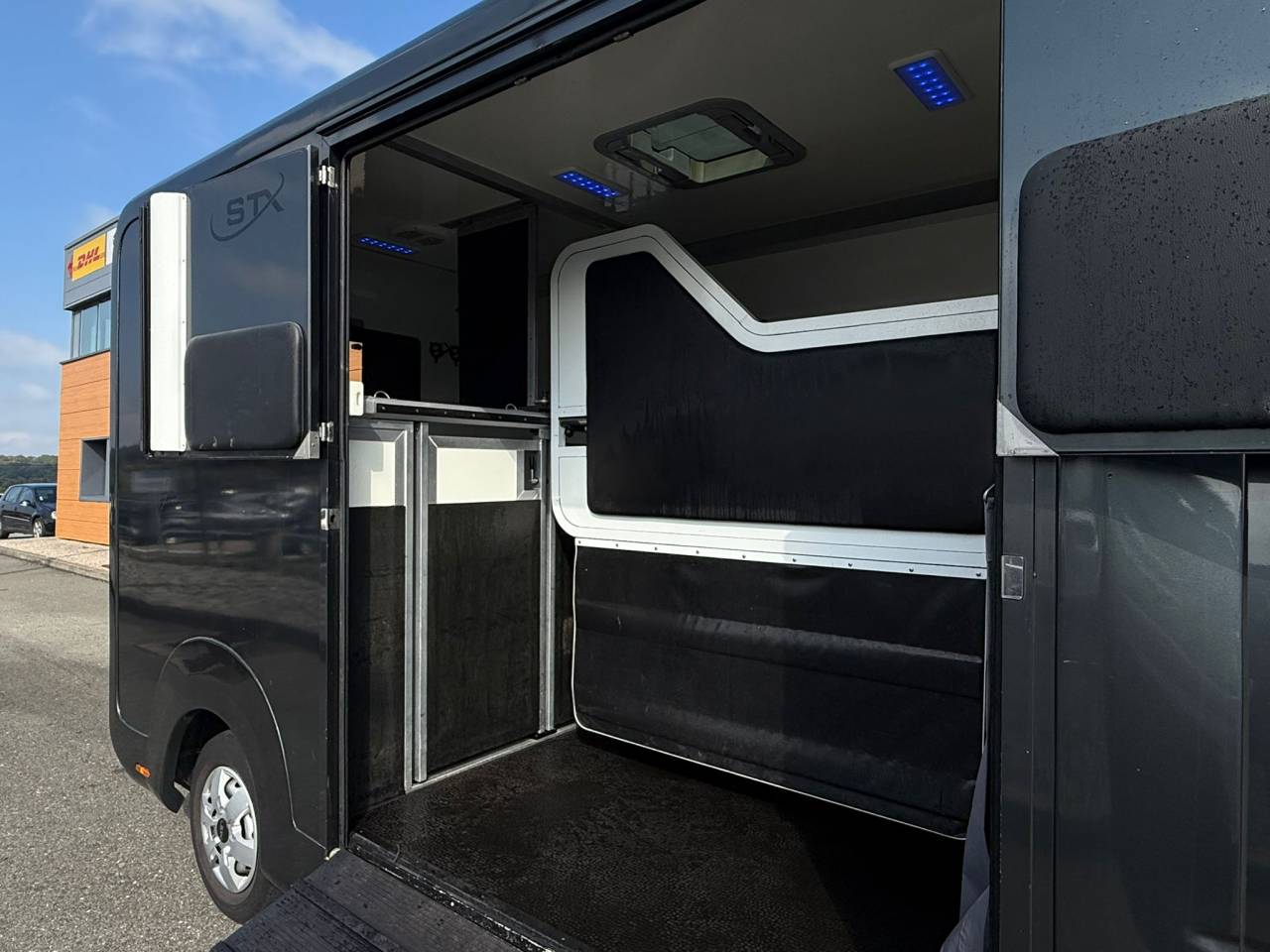 Van per Cavalli STX MOVANO 165CH 2018 Occasione