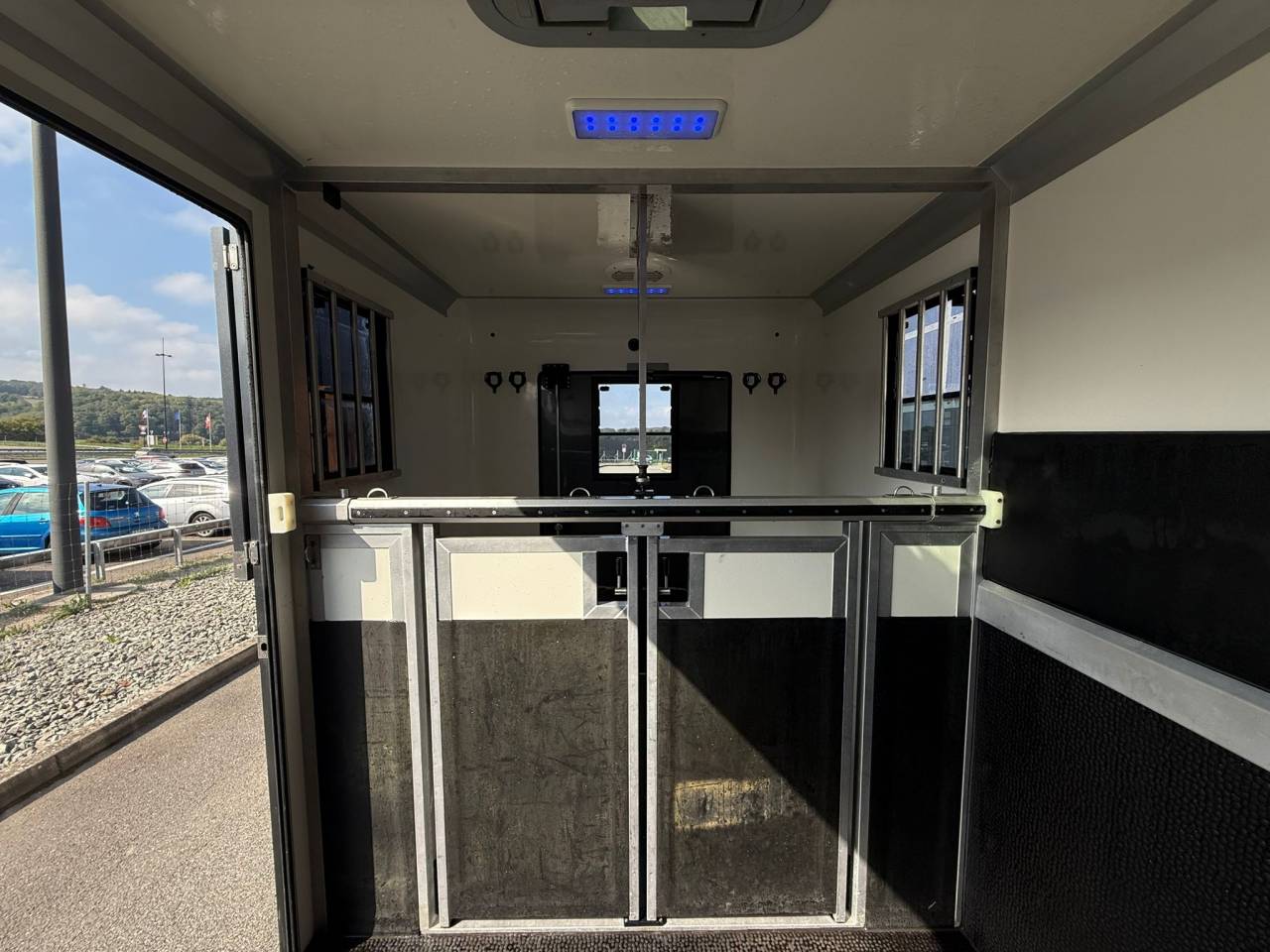 Van per Cavalli STX MOVANO 165CH 2018 Occasione