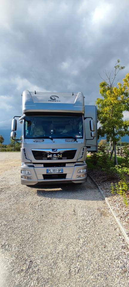 Camion per Cavalli Man MAN - TGM 2018 Occasione
