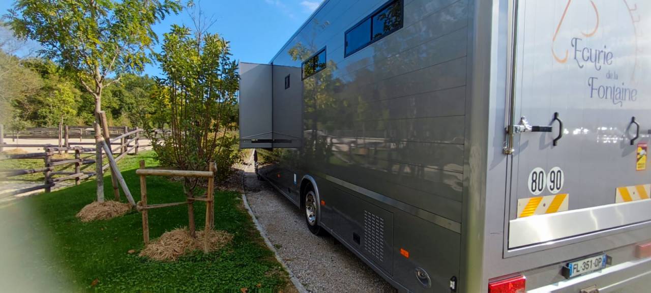 Camion per Cavalli Man MAN - TGM 2018 Occasione