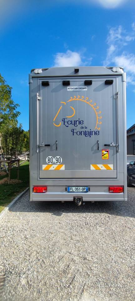 Camion per Cavalli Man MAN - TGM 2018 Occasione