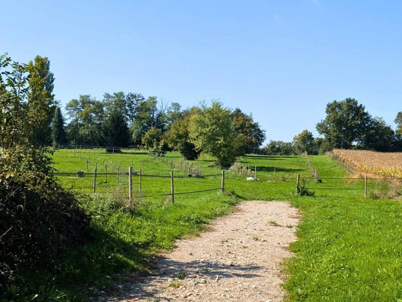 Proprietà equestre In vendita Ain