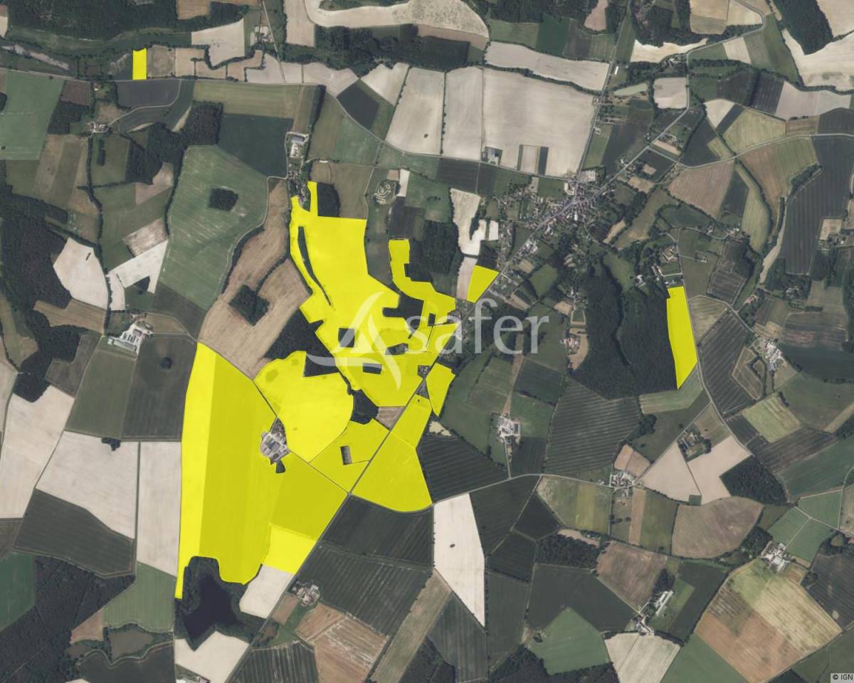Azienda lattaia In vendita Indre-et-Loire
