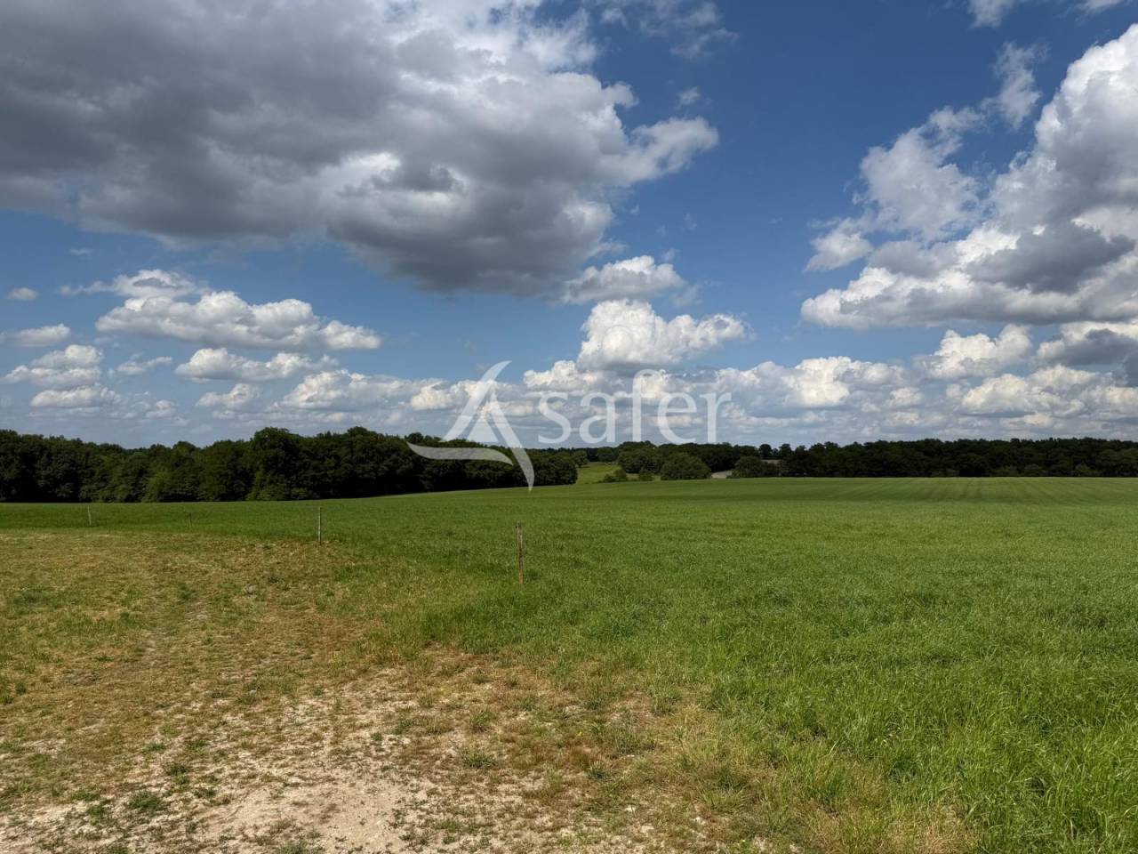 Azienda lattaia In vendita Indre-et-Loire