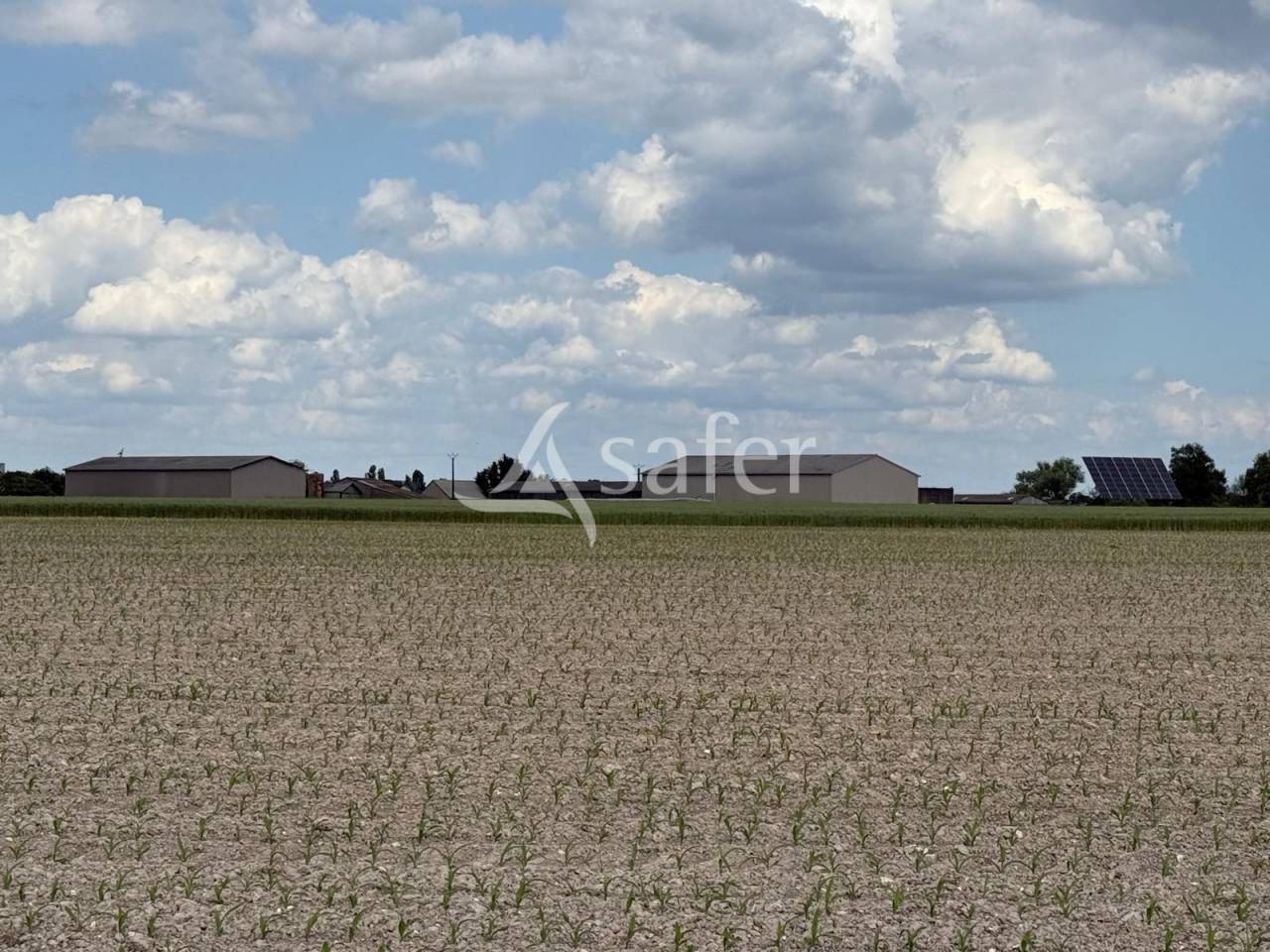 Azienda lattaia In vendita Indre-et-Loire